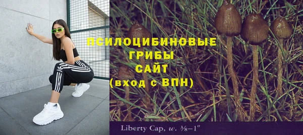ПСИЛОЦИБИНОВЫЕ ГРИБЫ Алексеевка