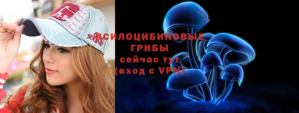 гидра Алзамай