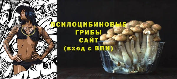 ПСИЛОЦИБИНОВЫЕ ГРИБЫ Алексеевка